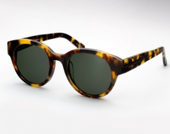 Anywhere in Crazy Tortoise by Karen Walker